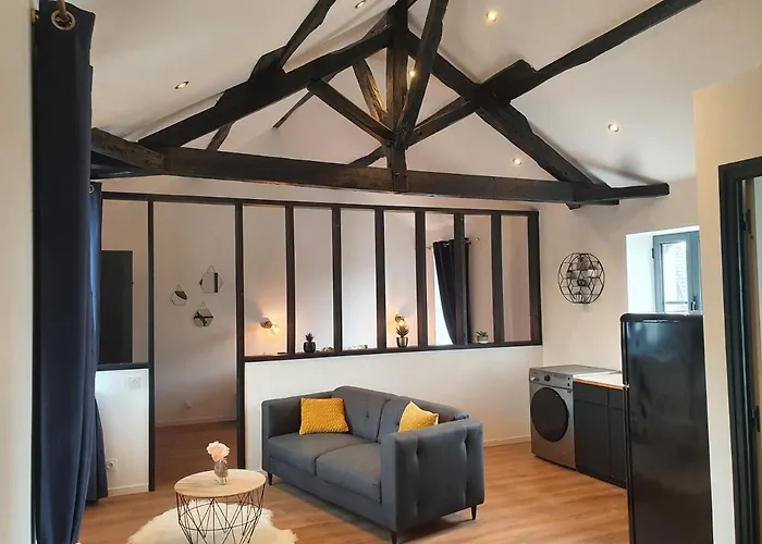 Lägenhet Le Loft De Blossac Poitiers